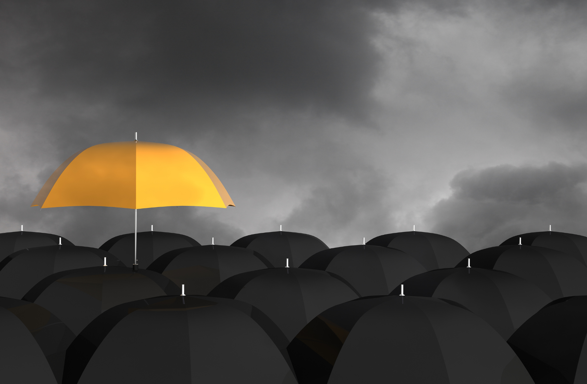 Understanding the Importance of Umbrella Insurance - NavSav